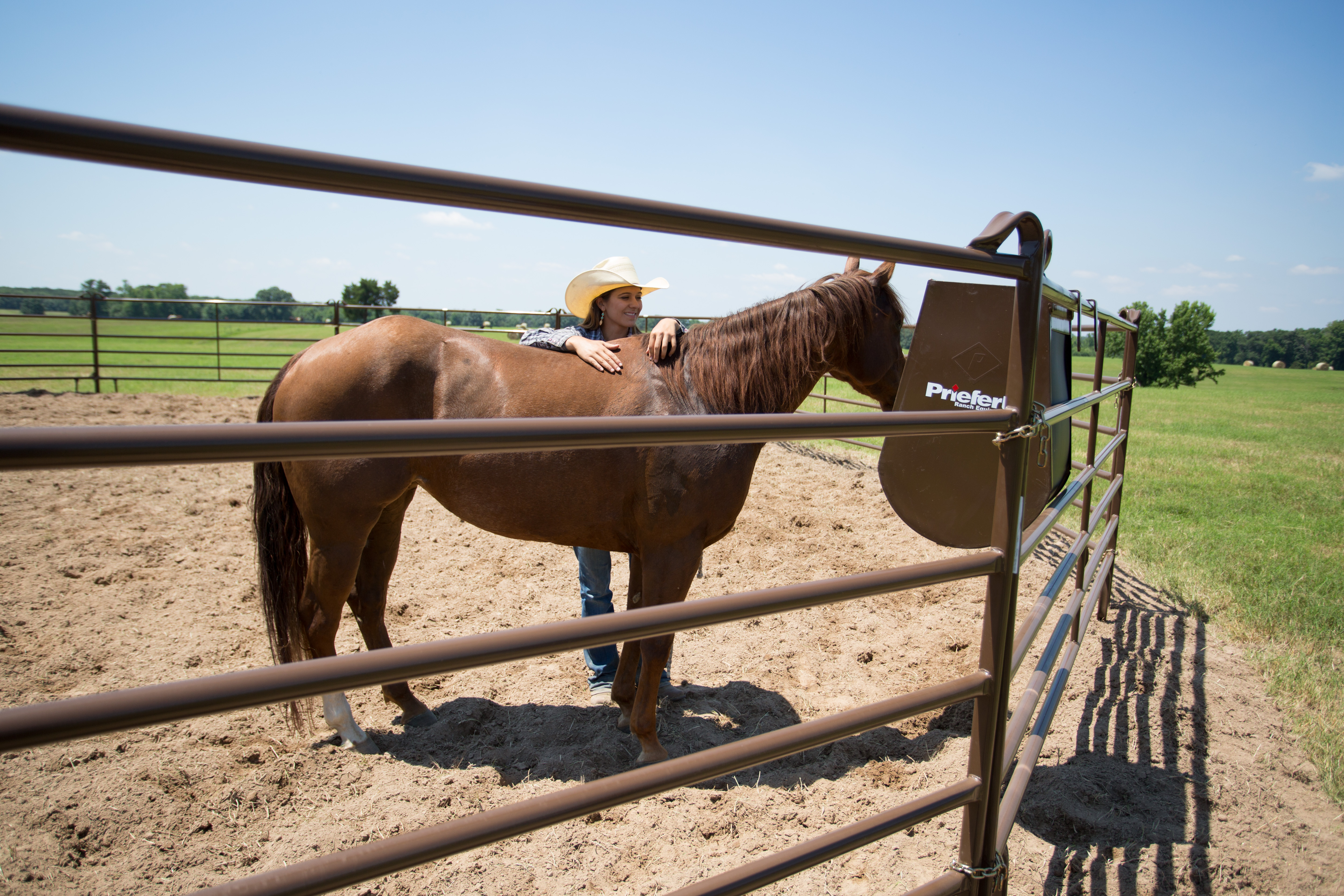 Horse Feeder HGFBN UP50 05.jpg
